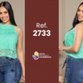 2733-