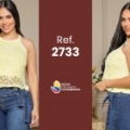 2733--