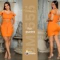 BM1555-
